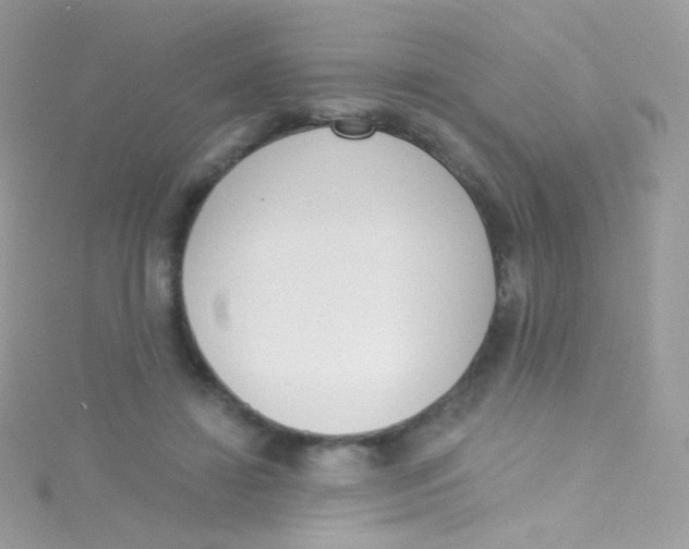 X0000115420452200911241351