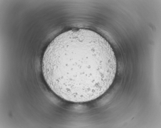 X0000115420453200911241351