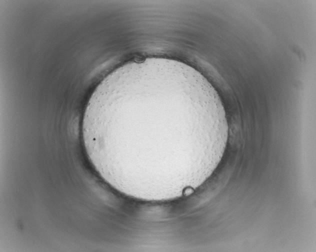 X0000115420454200911241351