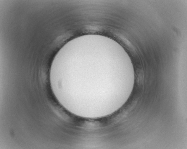 X0000115420455200911241351