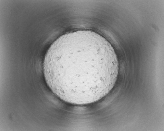 X0000115420457200911241352