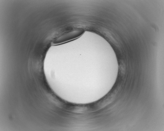 X0000115420458200911241352