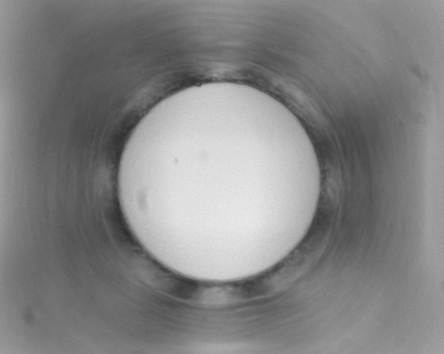 X0000115420461200911241352