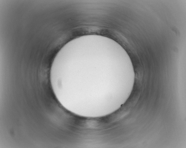 X0000115420462200911241352