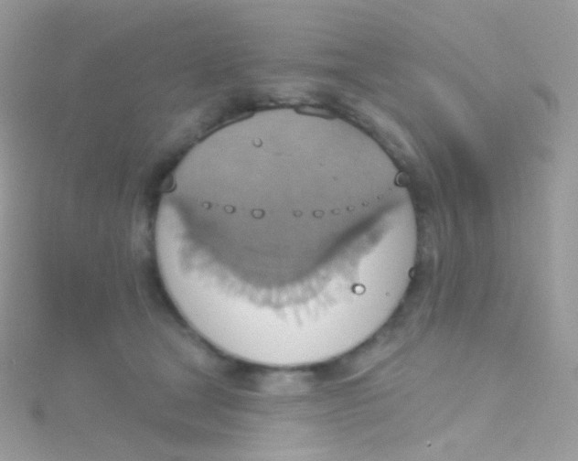 X0000115420465200911241352