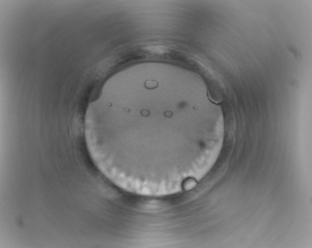 X0000115420467200911241352