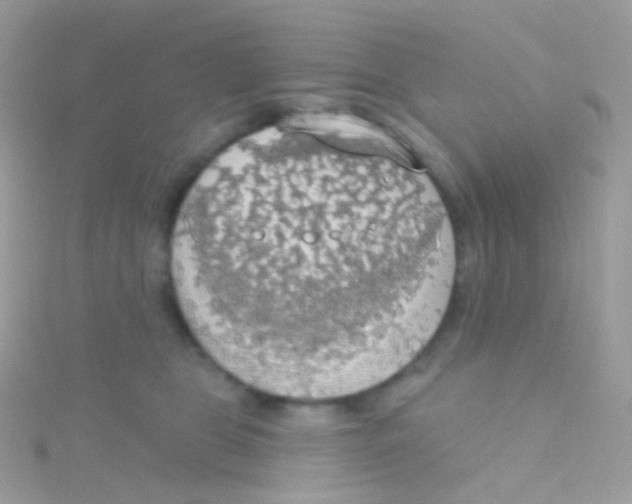 X0000115420469200911241352