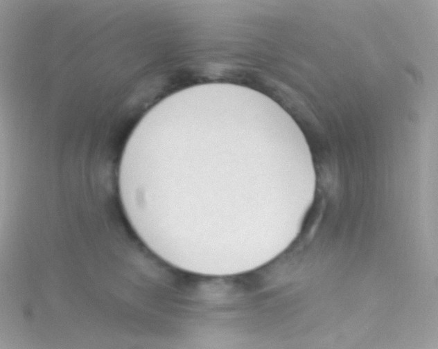 X0000115420470200911241352