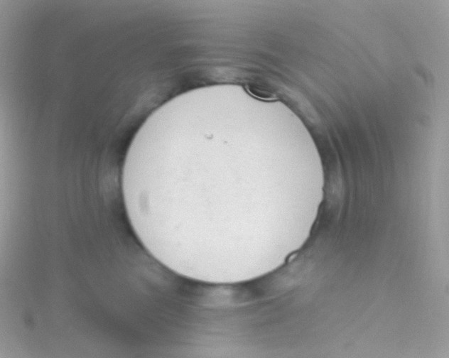 X0000115420473200911241352