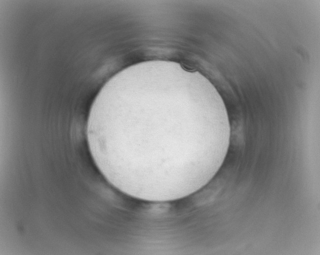 X0000115420474200911241352