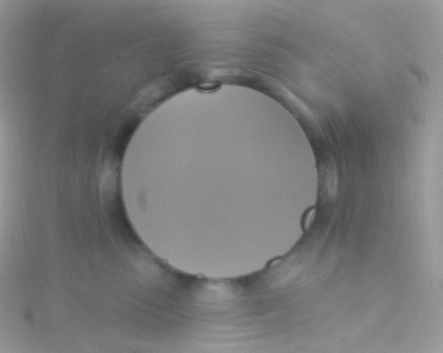 X0000115420475200911241352