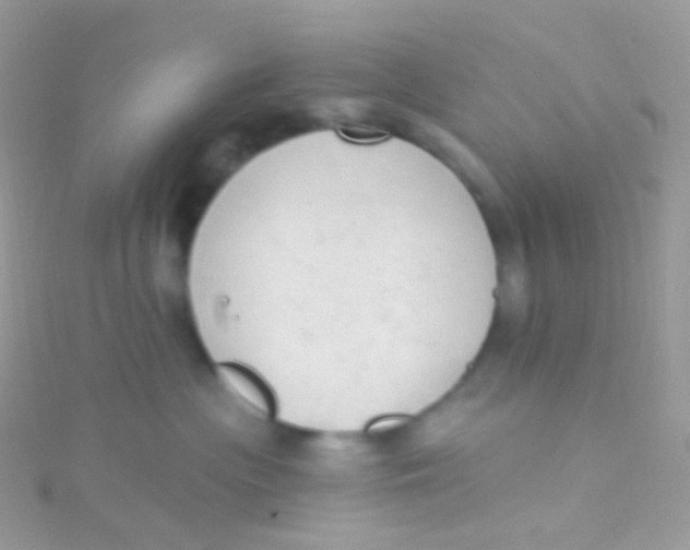 X0000115420477200911241352