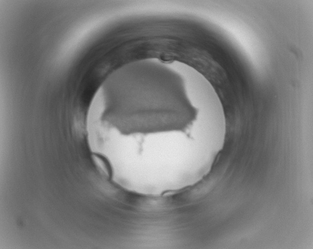 X0000115420479200911241352