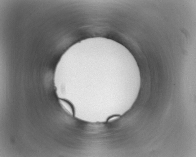 X0000115420480200911241352