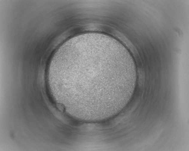 X0000115420482200911241351