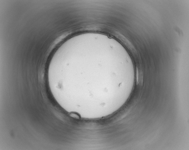 X0000115420483200911241351