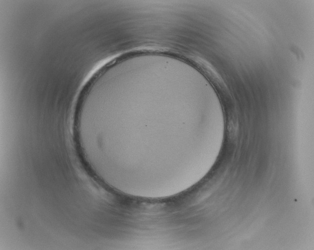 X0000115420484200911241351