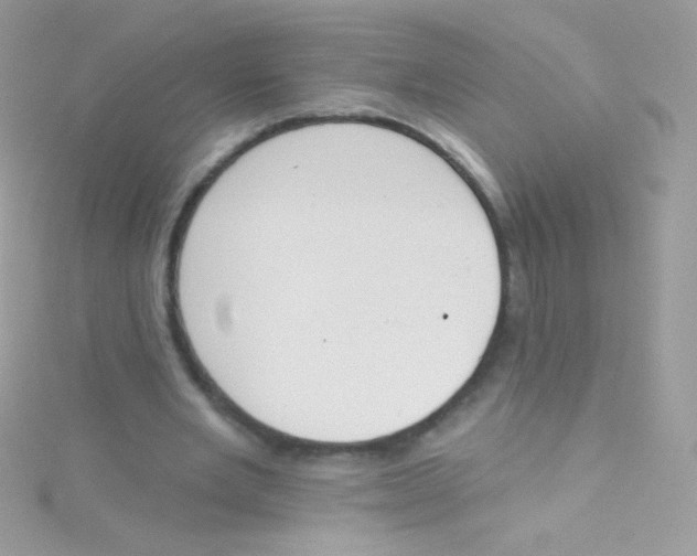 X0000115420485200911241351