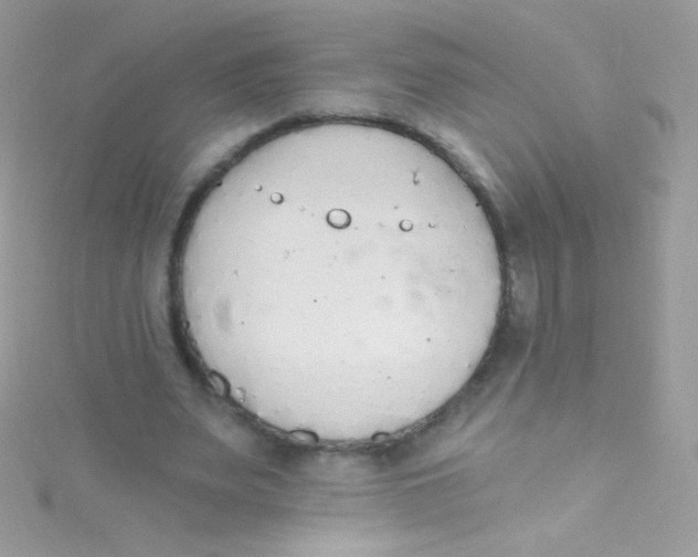 X0000115420487200911241351