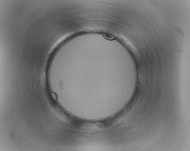 X0000115420488200911241351