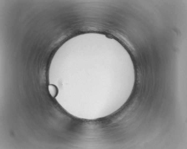 X0000115420489200911241351