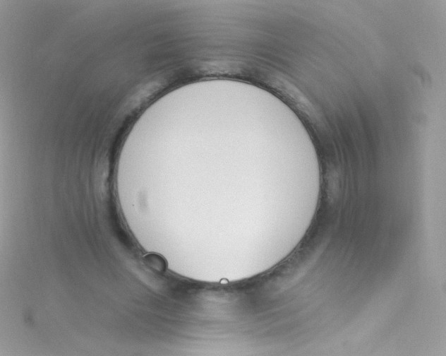 X0000115420490200911241351