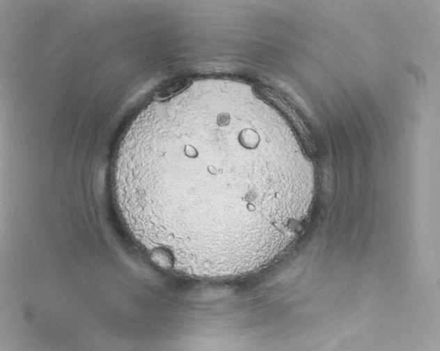 X0000115420491200911241351