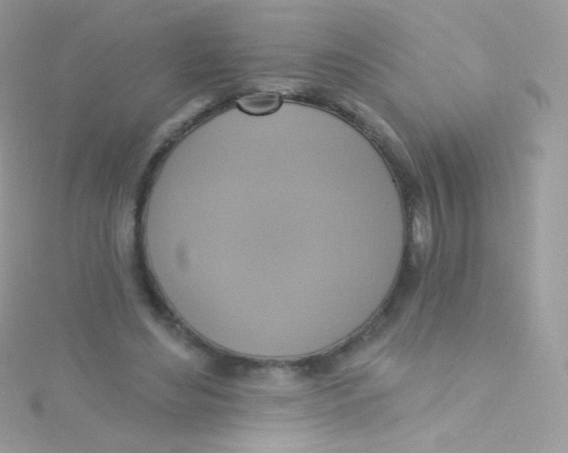 X0000115420492200911241351