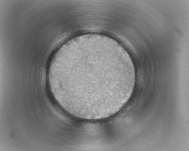 X0000115420494200911241351