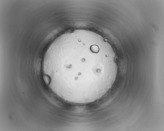 X0000115420495200911241351