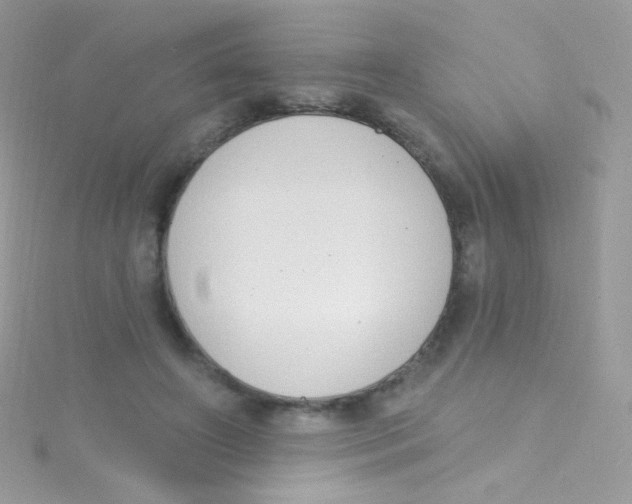 X0000115420498200911241351