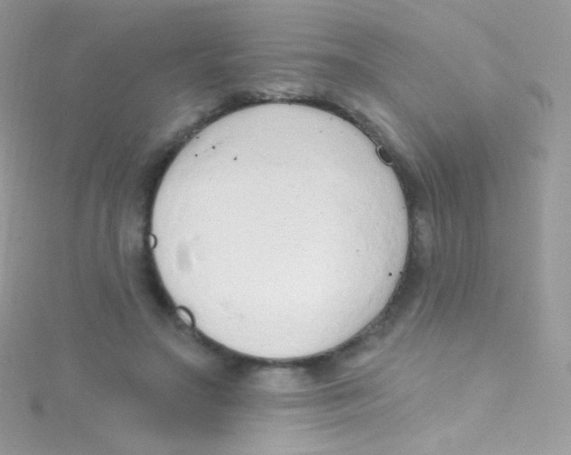 X0000115420499200911241351