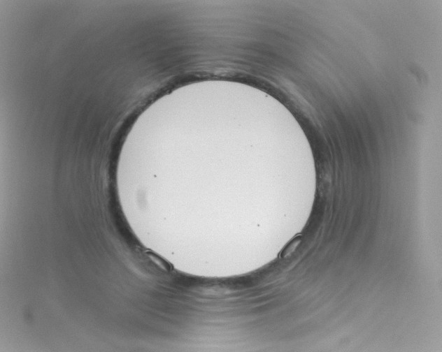 X0000115420500200911241351