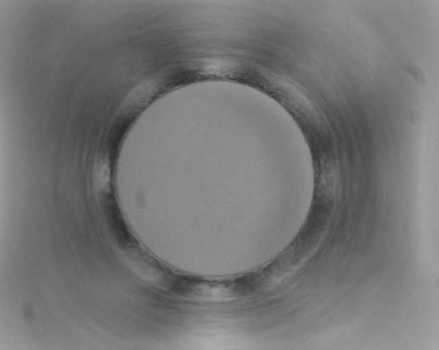 X0000115420502200911241351