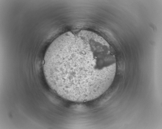 X0000115420503200911241351