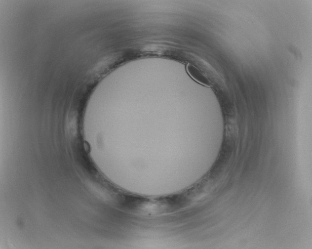 X0000115420504200911241351