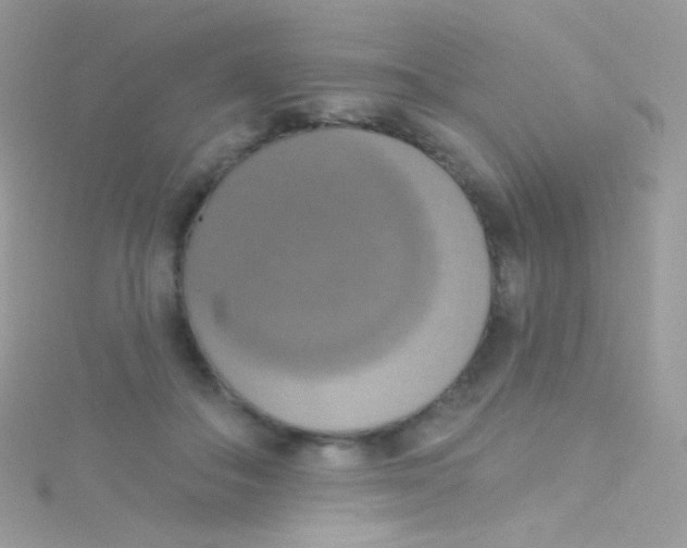 X0000115420506200911241351