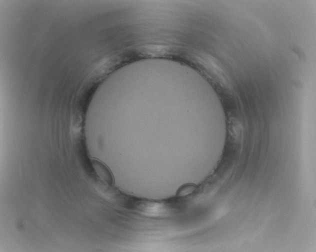 X0000115420507200911241351