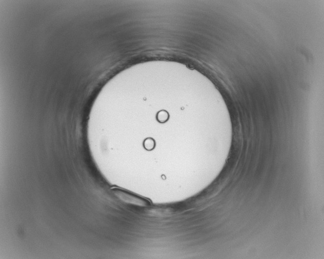 X0000115420508200911241351