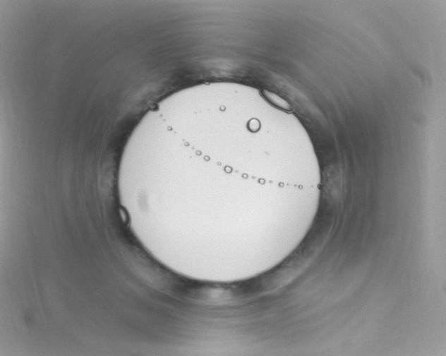 X0000115420509200911241351