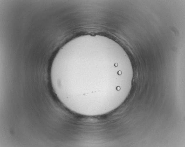 X0000115420512200911241351