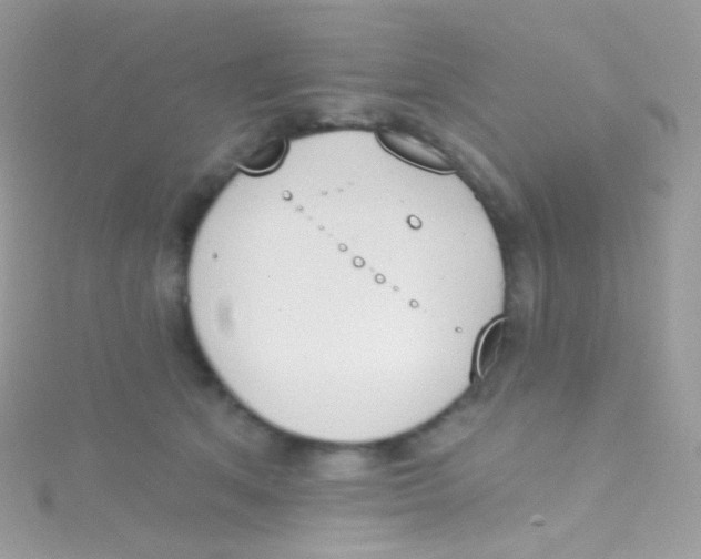 X0000115420513200911241351