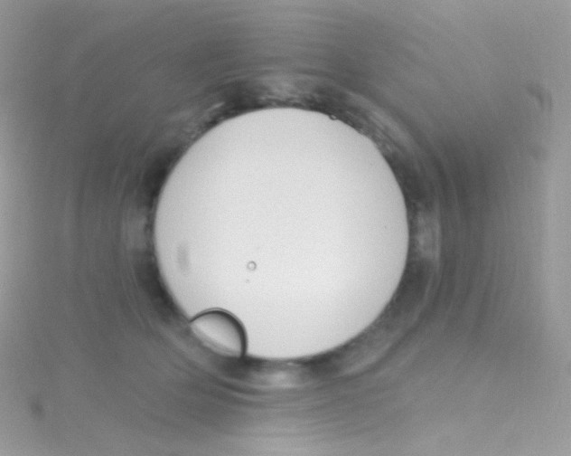 X0000115420514200911241351