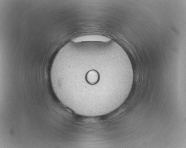 X0000115420516200911241351