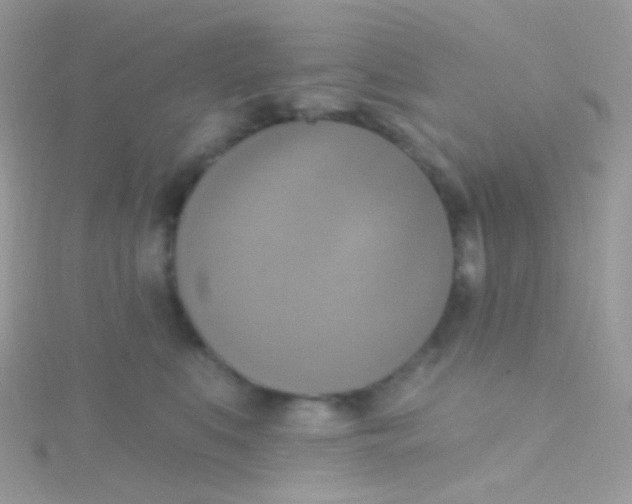 X0000115420519200911241351