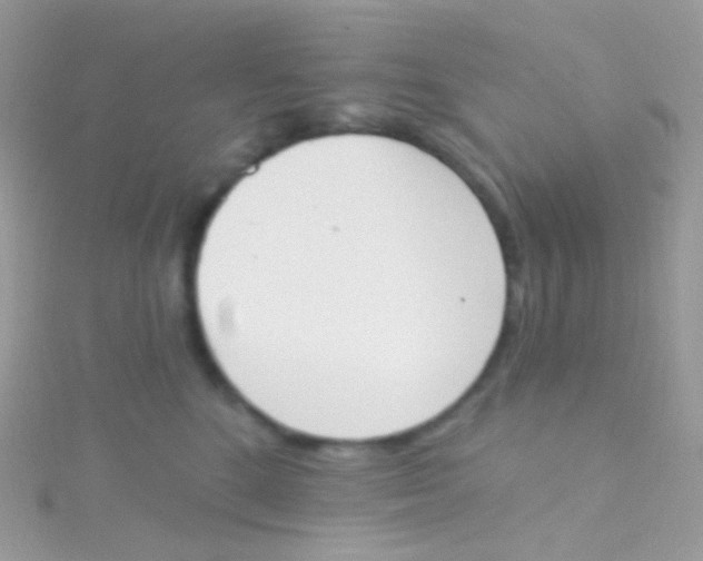 X0000115420520200911241351