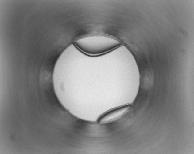 X0000115420521200911241351