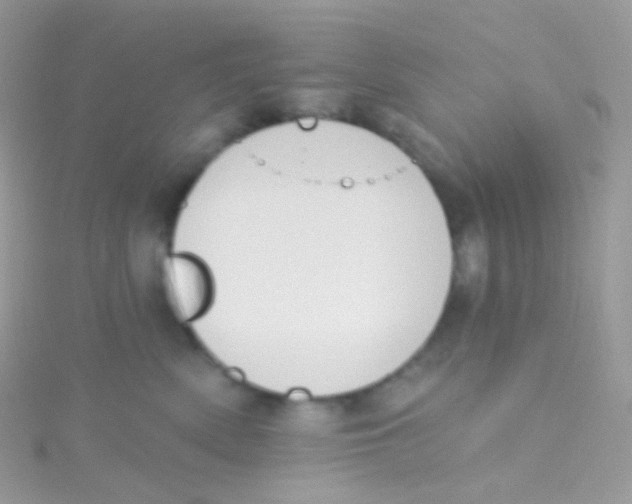 X0000115420522200911241351