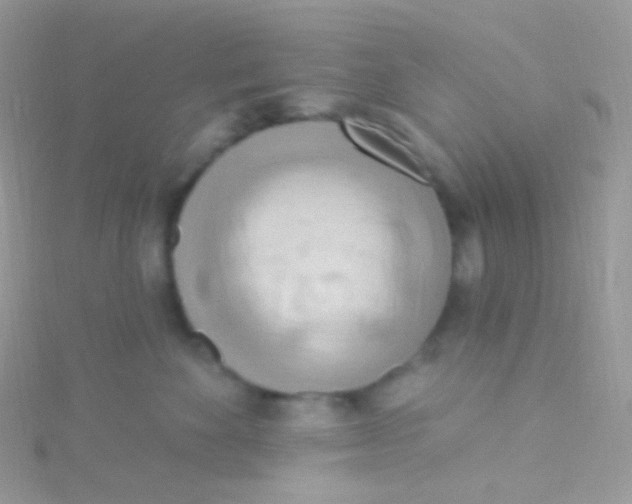 X0000115420524200911241351