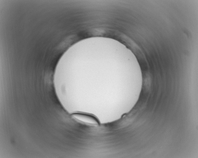 X0000115420525200911241351